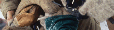 Wildlife Management Banner